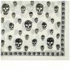 Alexander McQueen Skull Pashmina Scarf -Scarves popular store 09 02 2021 BB 5577174943Q 9260 m1 1