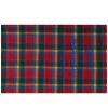 Acne Studios Cassiar Check New Scarf -Scarves popular store 09 08 2022 x ca0216 amq 1