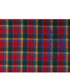 Acne Studios Cassiar Check New Scarf