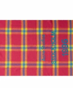 Acne Studios Cassiar Check New Scarf