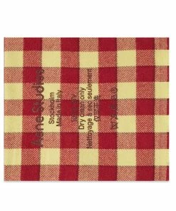 Acne Studios Cassiar Check Narrow New Scarf