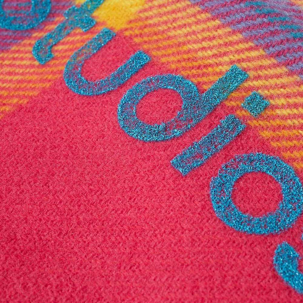 Acne Studios Cassiar Check New Scarf 4 Acne Studios Cassiar Check New Scarf - Image 2